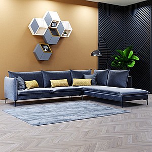 ���� ����� / ����� ����� ������ ������ ��� ��� ������ ��� �����